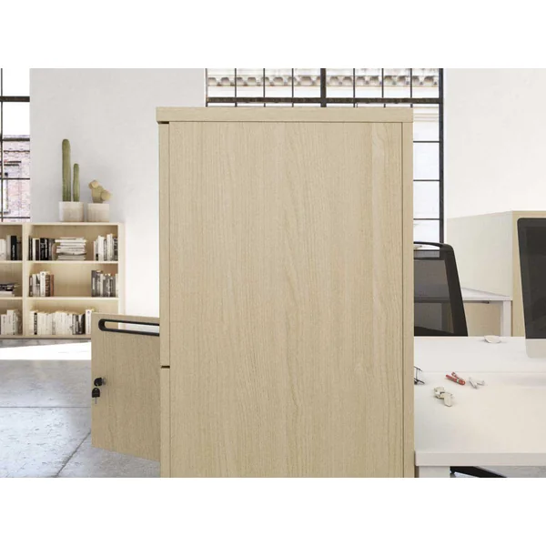Casier de rangement L 40 cm avec fente Alix