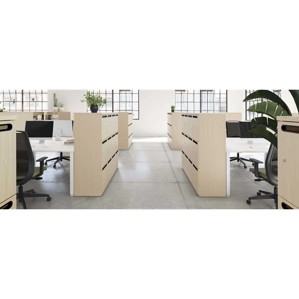Casier de rangement L 40 cm avec fente Alix