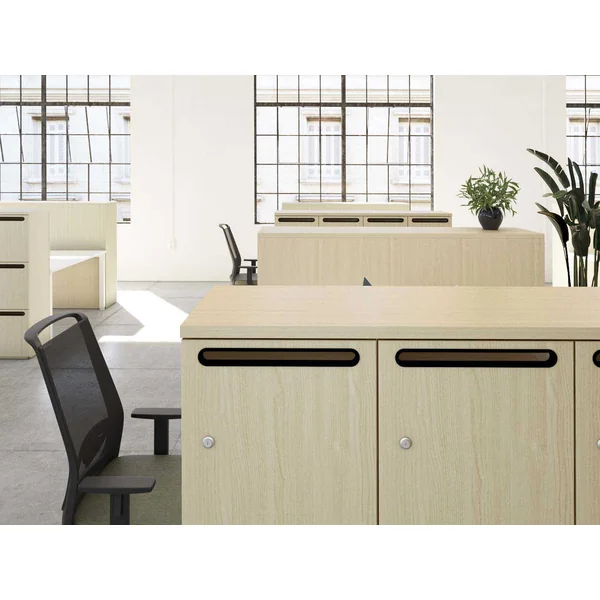 Casier de rangement L 40 cm avec fente Alix