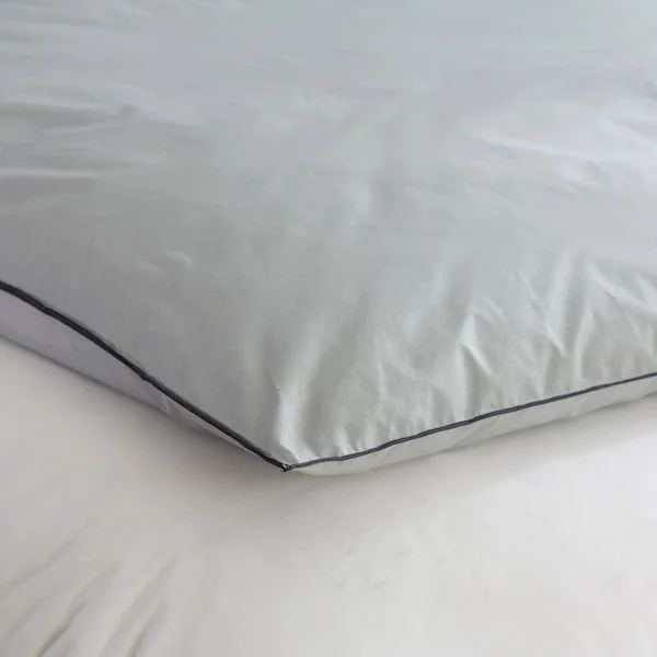 Edredon naturel duvet et plumettes, gris