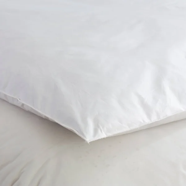Edredon naturel duvet et plumettes, écru 1