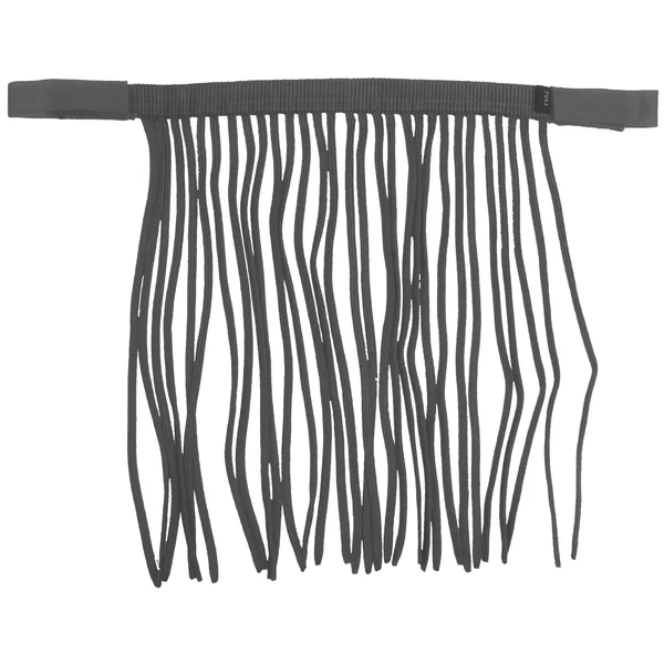 Frontal anti-mouches