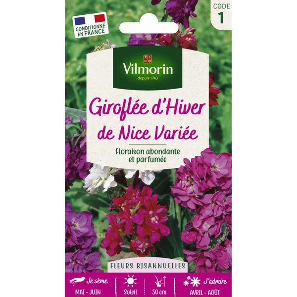 Graines de Giroflée d’hiver de Nice variée Vilmorin - graines à semer