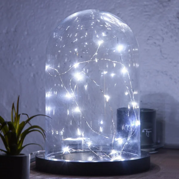 GUIRLANDE 20 MICRO LED ARGENT BLANC FROID L.190CM