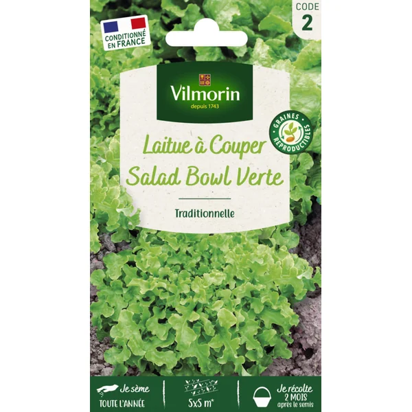Laitue à couper Salad Bowl Verte Vilmorin - graines à semer