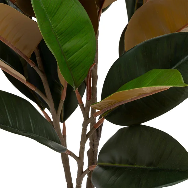 MAGNOLIA BE VINTAGE POT PLASTIQUE H.78CM