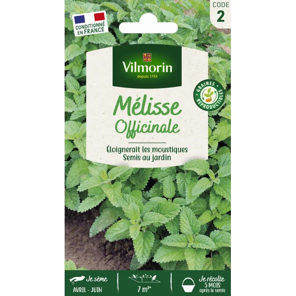Mélisse officinale Vilmorin - graines à semer