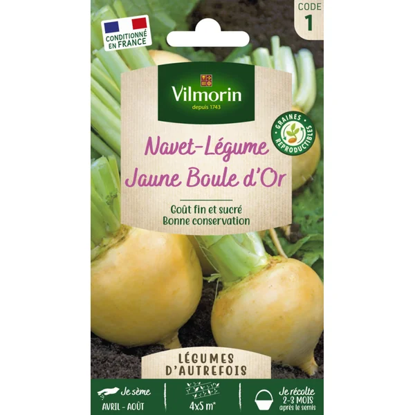 Navet Jaune Boule d'Or Vilmorin - graines à semer