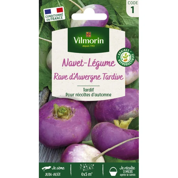 Navet Rave d'Auvergne tardif Vilmorin - graines à semer