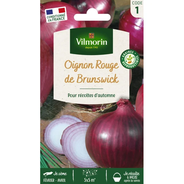 Oignon rouge de Brunswick Vilmorin - graines à semer