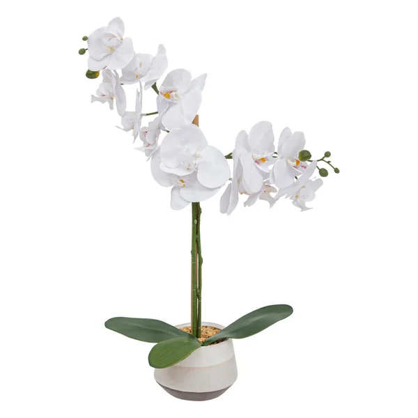 ORCHIDE POT CERAMIQUE CLERA H.52CM