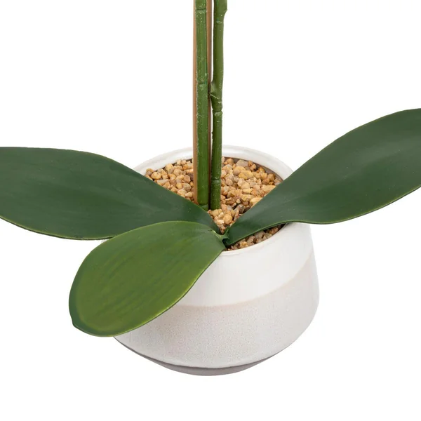 ORCHIDE POT CERAMIQUE CLERA H.52CM