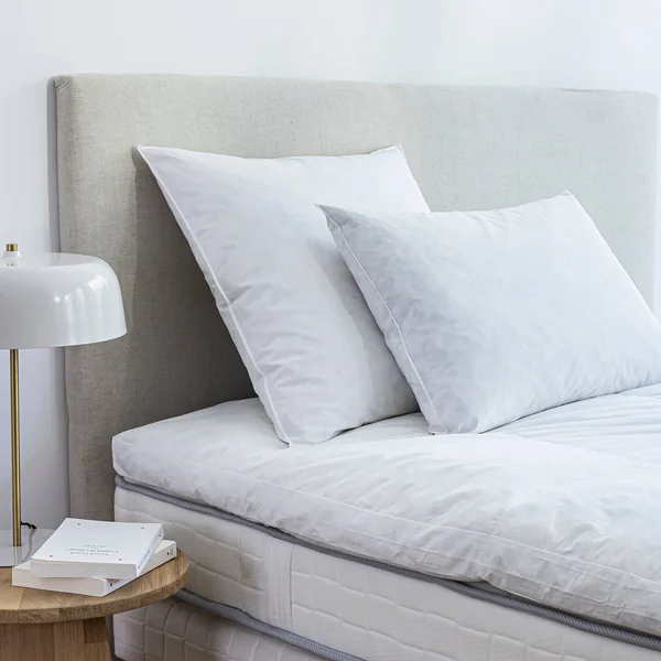 Oreiller plumes, blanc
