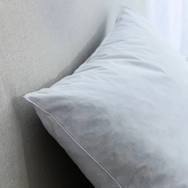 Oreiller plumes, blanc