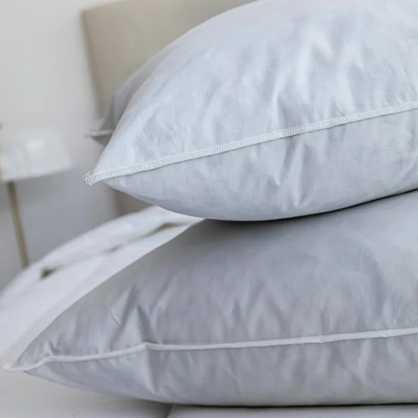 Oreiller plumes, blanc
