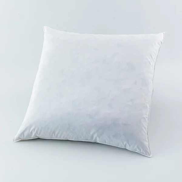 Oreiller plumes, blanc