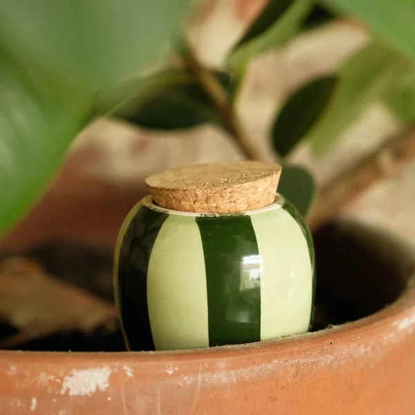 PEPIN Olla - Rayé vert et vert