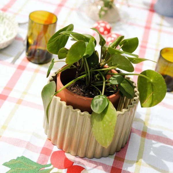 PEPIN Pot autonome Paula - Vert sauge