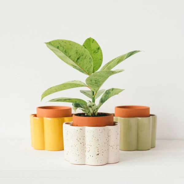 PEPIN Pot autonome Paulita- Jaune moutarde