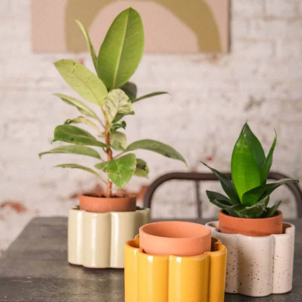 PEPIN Pot autonome Paulita- Jaune moutarde