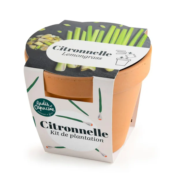 Pot en terre cuite antique avec graines de citronnelle bio Radis & Capucine