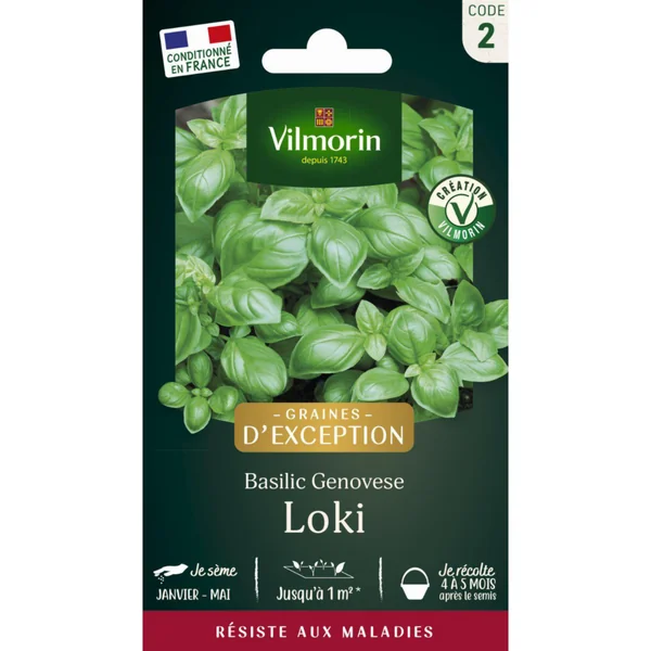 Sachet de semences potagères graines de basilic genovese loki