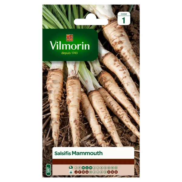 Salsifis Mammouth Vilmorin - graines à semer