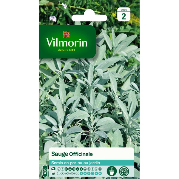 Sauge Officinale Vilmorin - graines à semer