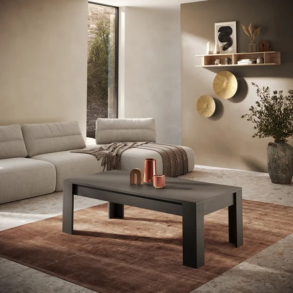 Table basse rectangulaire moderne coloris mercure Rosine